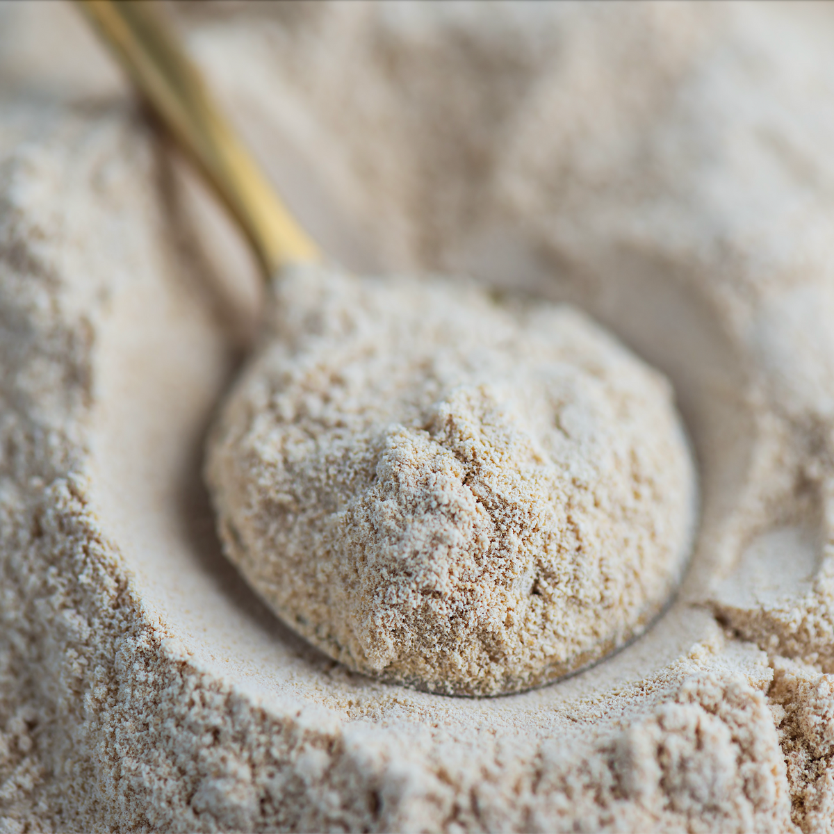 Cholin in der Schwangerschaft - ein unterschätztes B-Vitamin in der Entwicklung