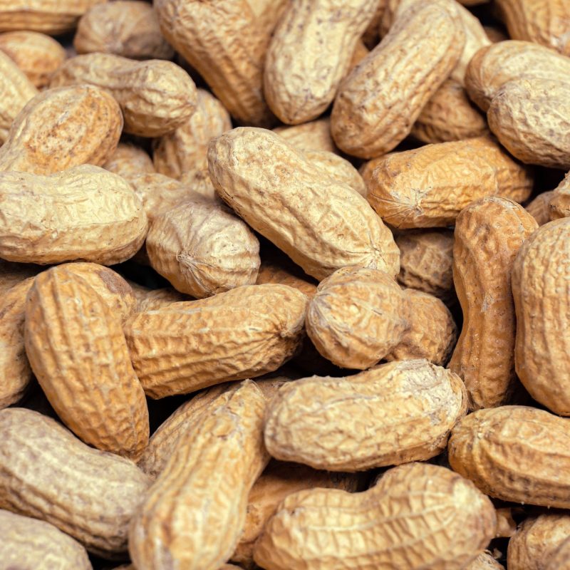 Vitamin B3 in der Schwangerschaft – fördert Nerven & Hautgesundheit – NUTRILAB MUNICH | DIE FEMME – von Dr. Valesca Proske