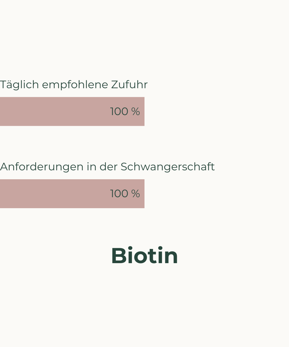 Nährstoffbedarf in der Schwangerschaft Biotin Veganer