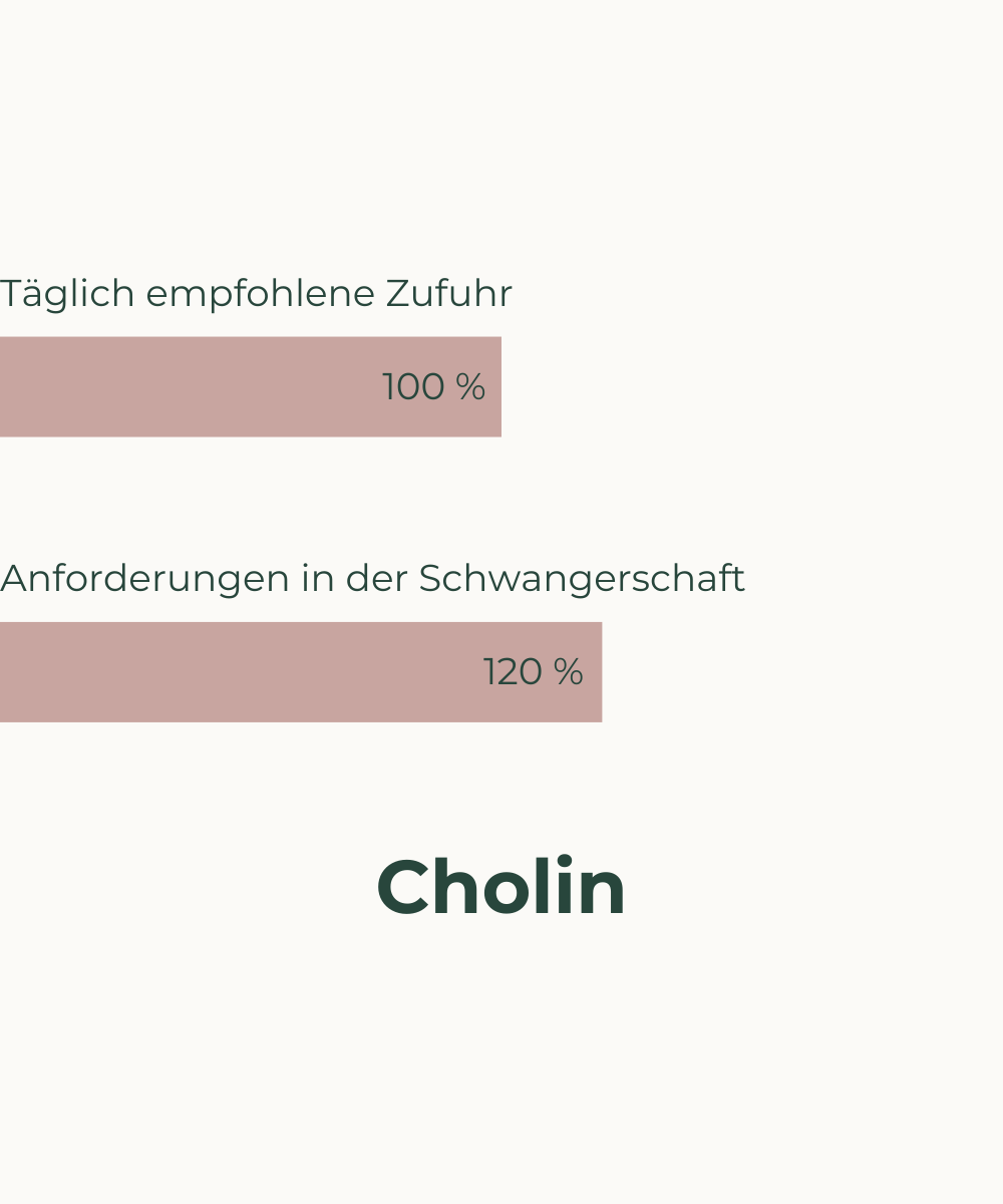 Nährstoffbedarf in der Schwangerschaft Cholin Veganer