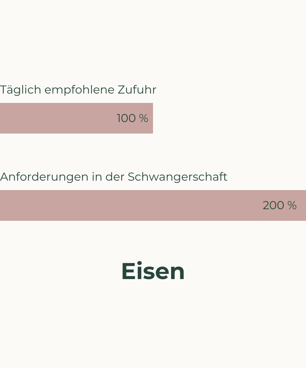 Nährstoffbedarf in der Schwangerschaft Eisen Veganer