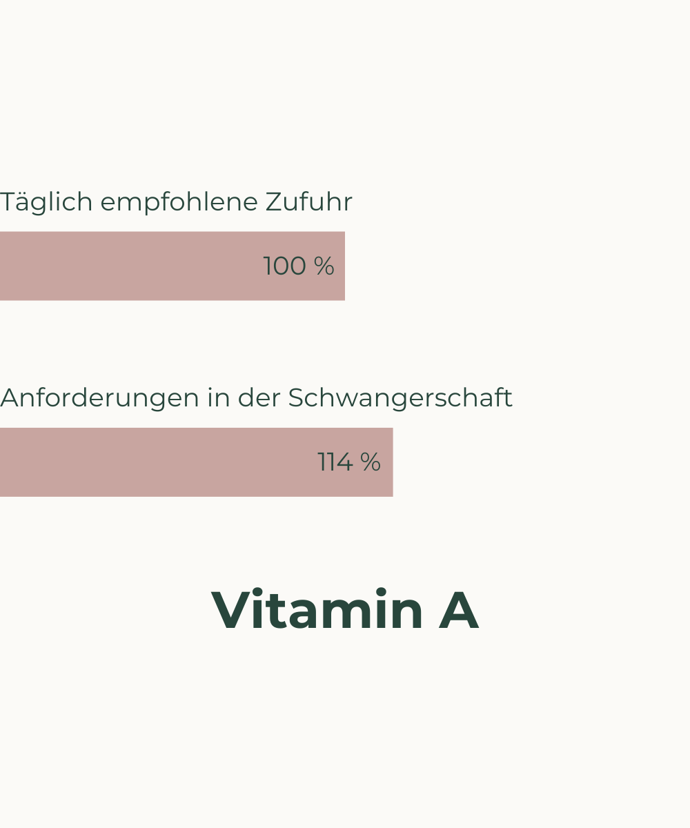 Nährstoffbedarf in der Schwangerschaft Vitamin A veganer