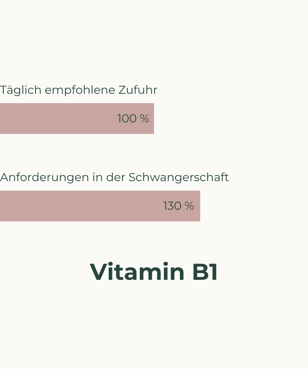 Nährstoffbedarf in der Schwangerschaft B1 Thiamin Veganer