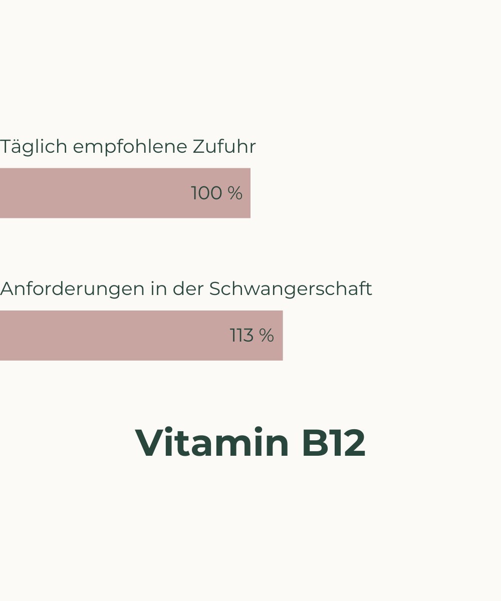 Nährstoffbedarf in der Schwangerschaft_Vitamin-B12_Veganer MecobalActive®_Markenrohstoffe Methylcobalamin