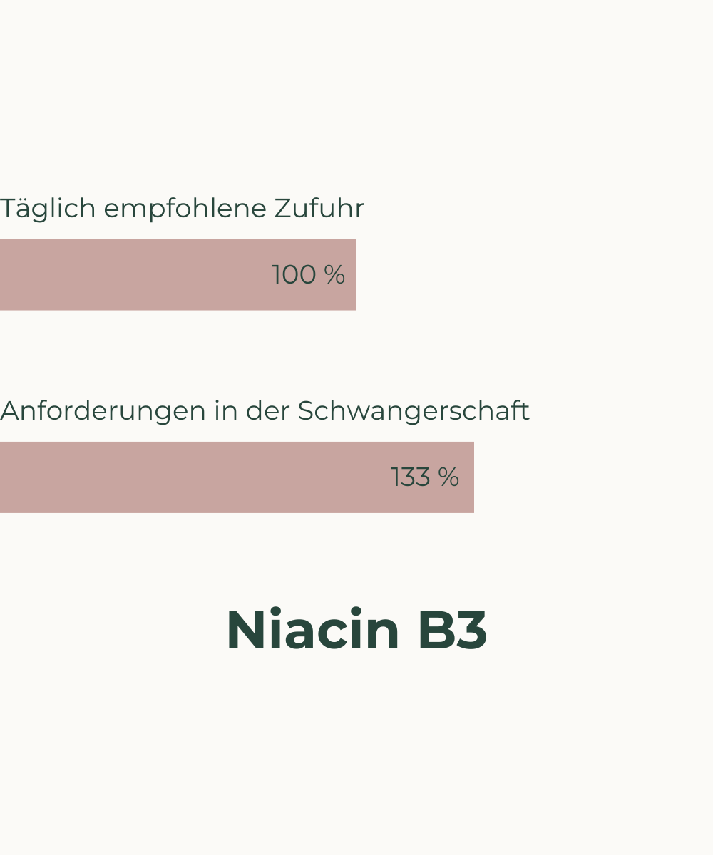 Nährstoffbedarf in der Schwangerschaft Vitamin B3 Niacin USP Markenrohstoff