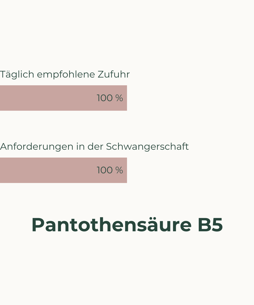 Nährstoffbedarf in der Schwangerschaft Vitamin B5 Veganer USP Panthotensäure Markenrohstoff