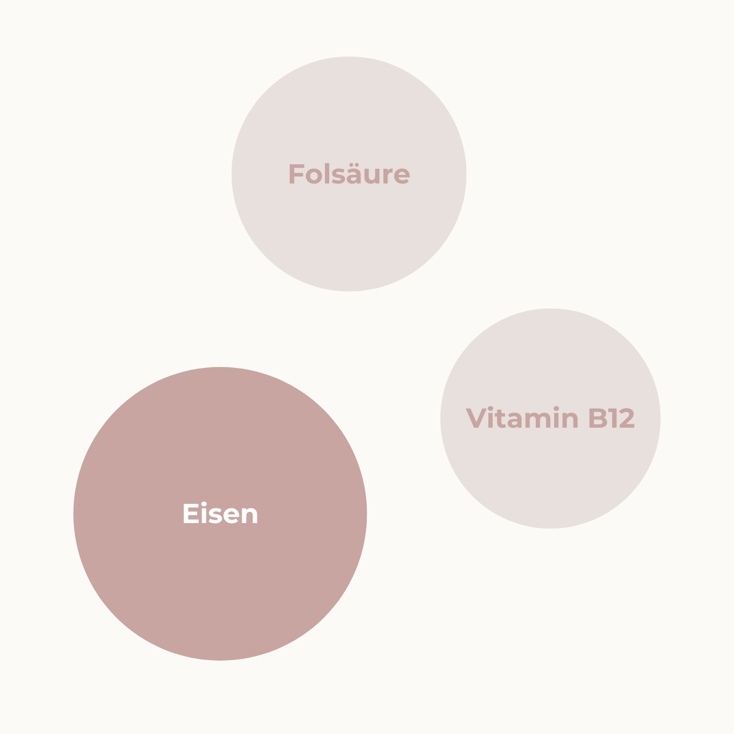 Wie arbeiten die Nährstoffe Eisen, Folsäure und Vitamin B12 zusammen