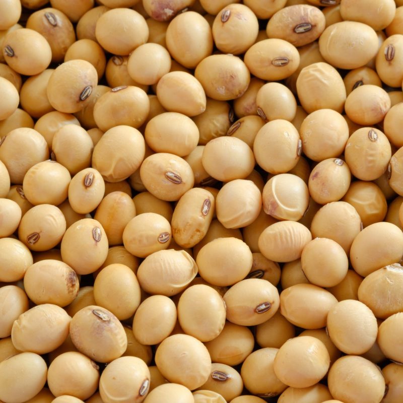 Biotin für Schwangere – stärkt Haut, Haare und Nägel von innen – NUTRILAB MUNICH | DIE FEMME – von Dr. Valesca Proske