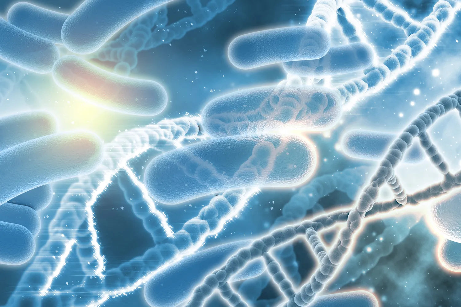 NUTRILAB Mikrobiom DNA Test Kit